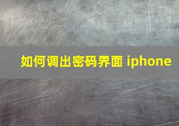 如何调出密码界面 iphone